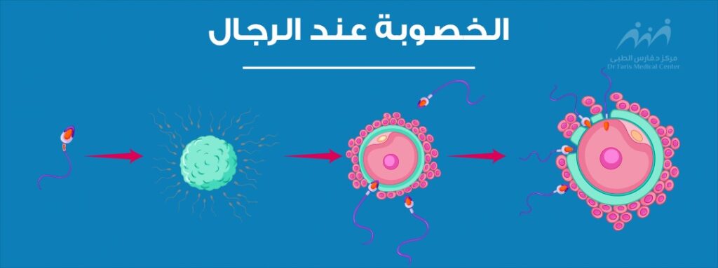افضل دكتور ذكورة وعقم في القاهرة - مركز الدكتور فارس للحقن المجهري